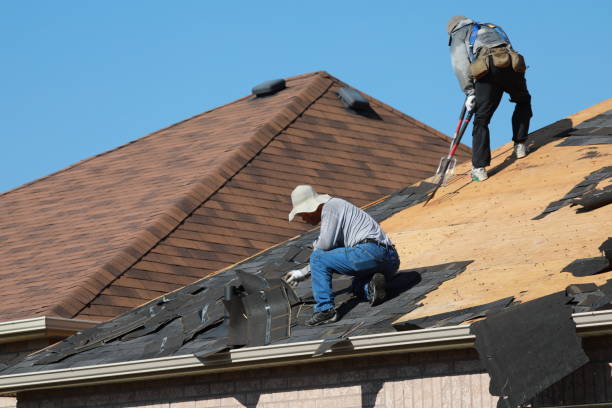 Best Roof Moss and Algae Removal  in Meridian, CO