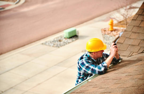 Best Chimney Flashing Repair  in Meridian, CO