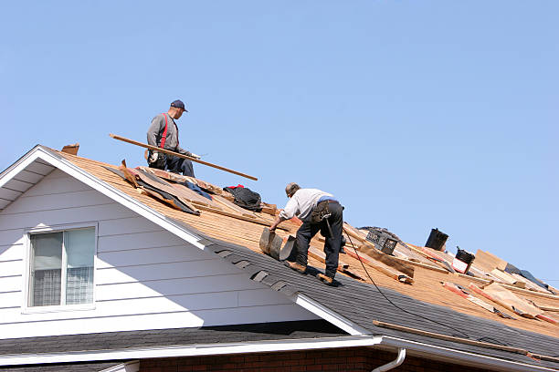 Best Roof Ventilation Installation  in Meridian, CO